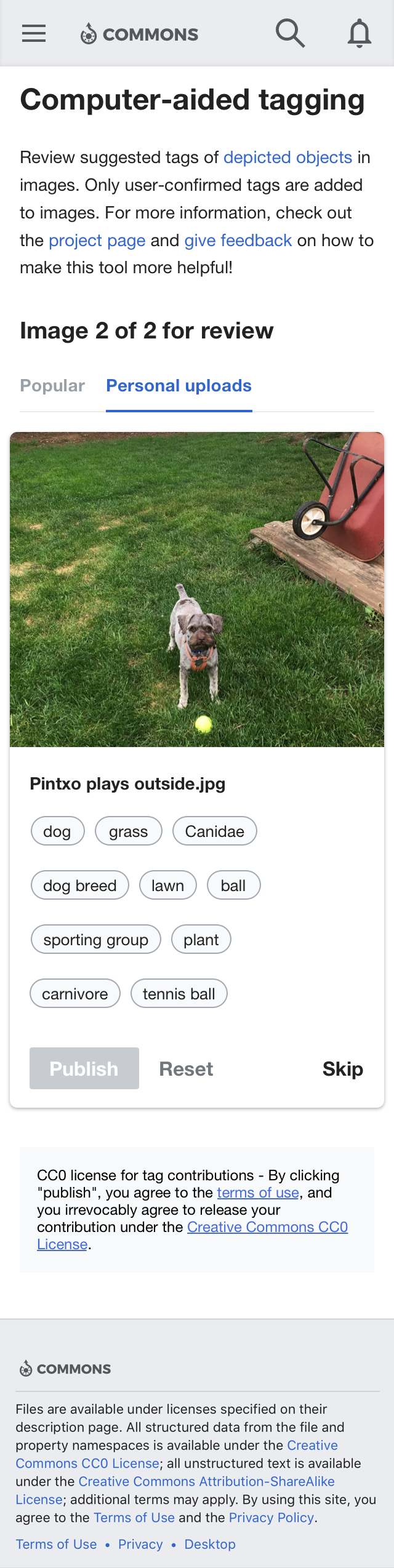 Suggested tags